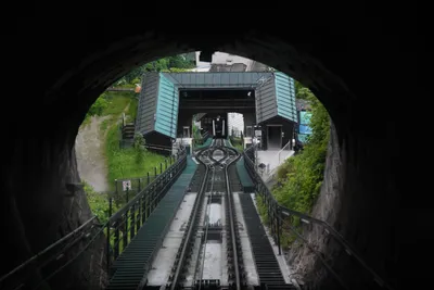 DSC_6362 (Large).JPG